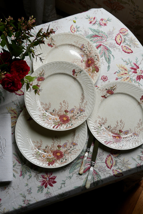 4 assiettes plates Lunéville, Reine Marguerite