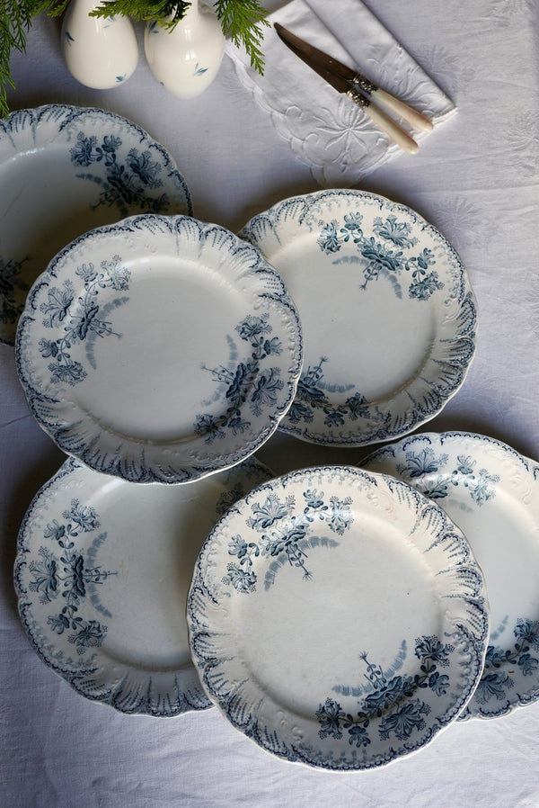 6 assiettes plates St Amand Régence